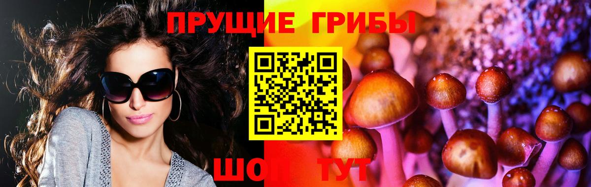 Осинники  Галлюциногенные грибы мухоморы  Вход с VPN 